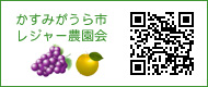 茨城県かすみがうら市　レジャー農園会QRコード