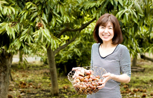 女性の栗拾いの写真