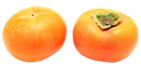 柿の写真