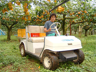 観光農園・生産果物の特徴