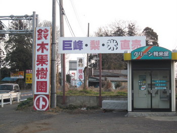 観光農園・生産果物の特徴