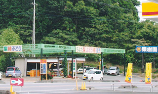 観光農園・生産果物の特徴